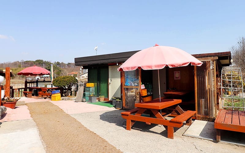 대장금 갤러리 19